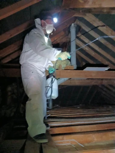Swift Pest Solutions technician treating a loft space in Grimsby
